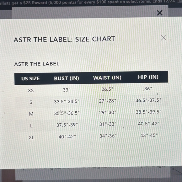 Astr skirt - Picture 4 of 4